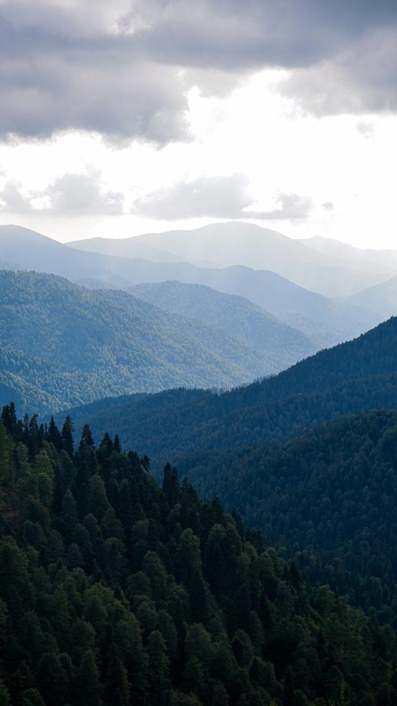 Majestic view of Bolu's lush, forested mountains under a dramatic sky.